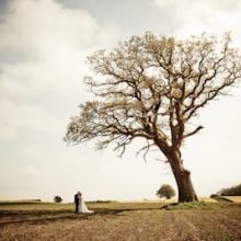 pexels-reneterp-3990371